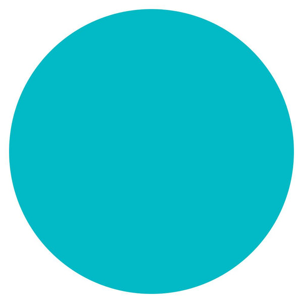 Color Circle Classroom Floor Decal