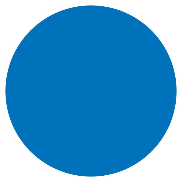 Color Circle Classroom Floor Decal