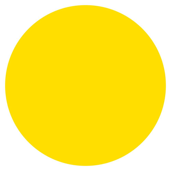 Color Circle Classroom Floor Decal