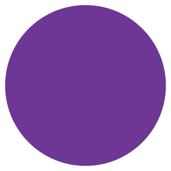 Color Circle Classroom Floor Decal