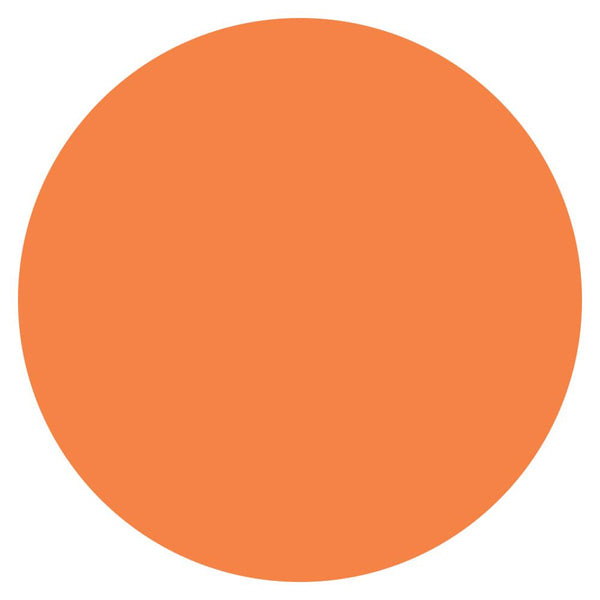 Color Circle Classroom Floor Decal