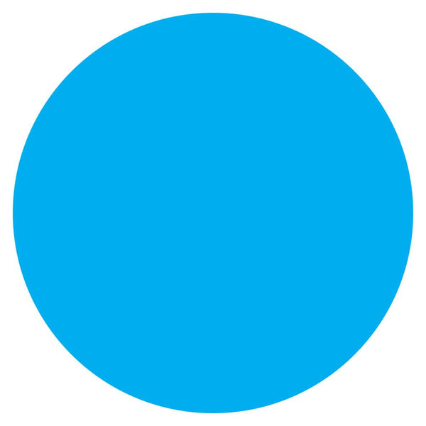 Color Circle Classroom Floor Decal