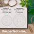 files/EmbossedFantasyImpressionEffect_MoonlitLibrary_Size-Round.jpg